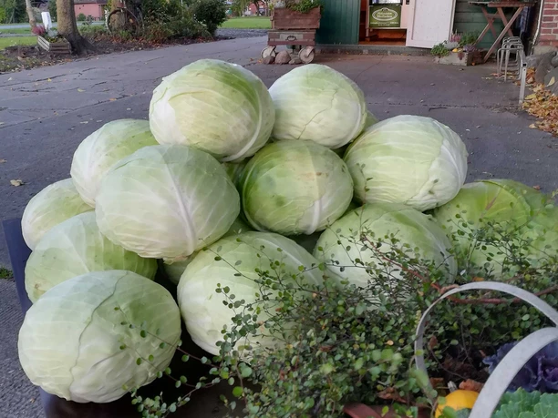 Helserdieker Hofladen Kohl