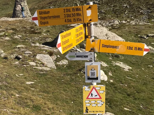 QR Bistinepass