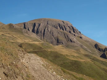 OLYMPUS DIGITAL CAMERA OLYMPUS DIGITAL CAMERA