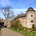 Wasserburg Haus zum Haus in Ratingen Wasserburg mit rundem Turm, von Bäumen umgeben, blauer Himmel und Kopfsteinpflasterweg im Vordergrund.
