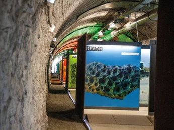 Zeittunnel Wülfrath Naturkundliche Ausstellung im Zeittunnel Wülfrath zeigt geologische Entwicklung im Gang eines Tunnels.