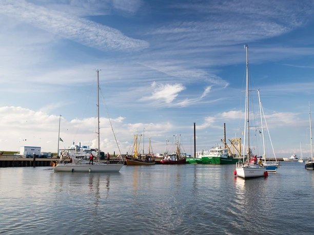 Wangerland 2016 Wangerland 2016