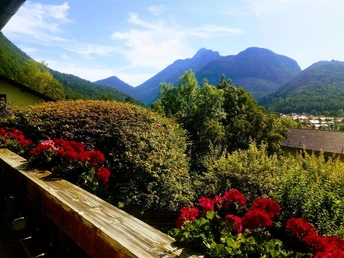 Blick_vom_Balkon im Sommer