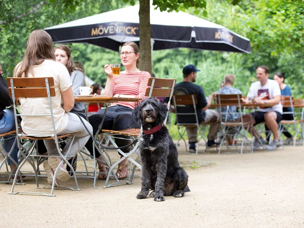 Otter Centre in Hankensbüttel - terras aan het meer van het restaurant