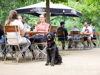Otter-Zentrum in Hankensbüttel - Seeterrasse des Restaurants Otter-Zentrum in Hankensbüttel - Seeterrasse des Restaurants