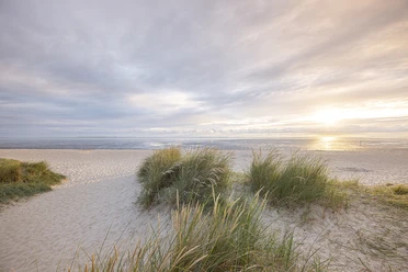 Strand-Schillig-Oliver Franke.jpg