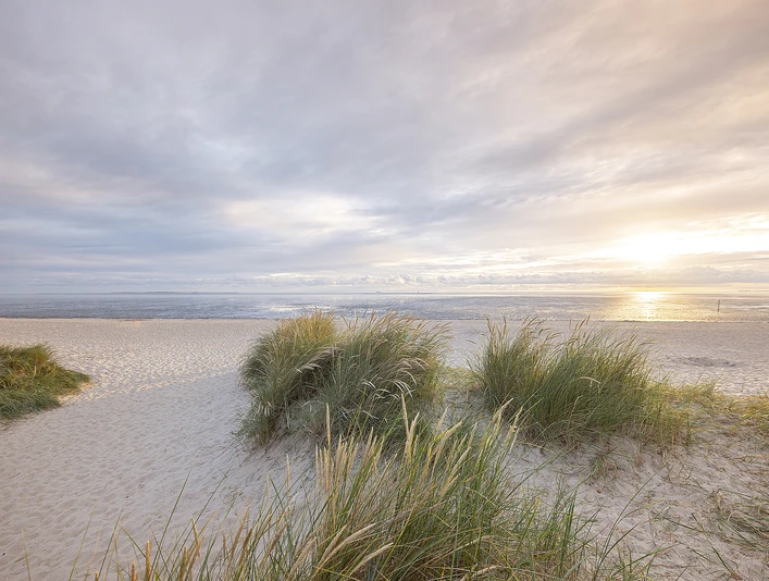 Strand-Schillig-Oliver Franke.jpg