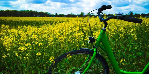 POI_Fahrradverleih-Hooksiel.jpg