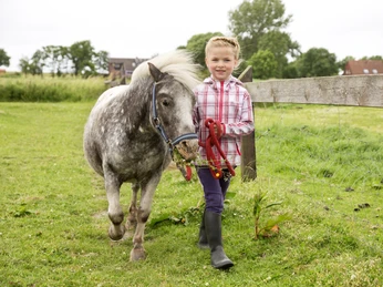 POI_Frieslandstern-Reiten-Schillig.jpg