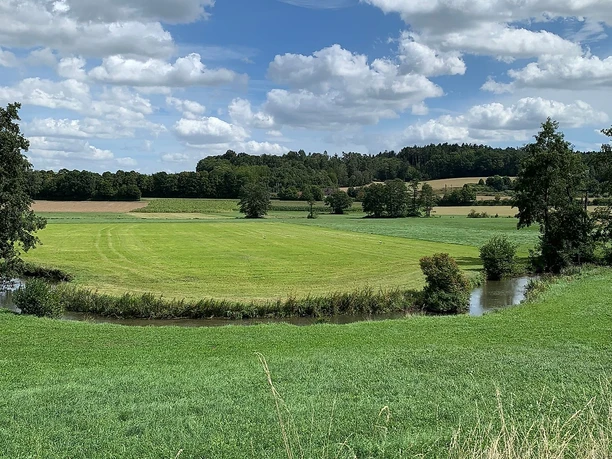 Störche auf Wiese mit Ilm zwischen Hettenshausen und Ilmmünster Störche auf Wiese mit Ilm zwischen Hettenshausen und Ilmmünster