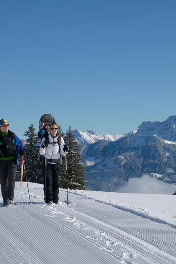 Panorama-Winterwanderweg