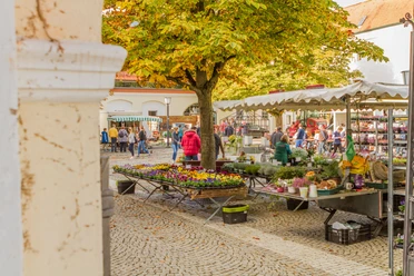 Bauernmarkt in Günzburg