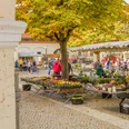 Bauernmarkt in Günzburg