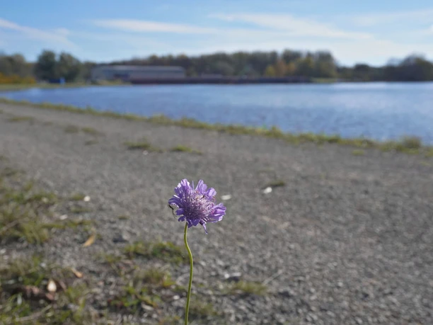Neuburg Donaustraße Beroltsheim Ufer