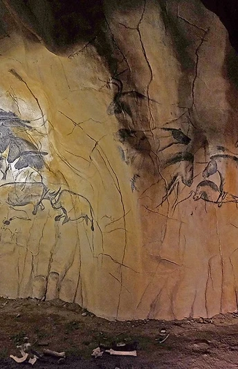 Steinzeithöhle Steinzeithöhle