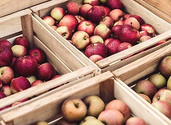 Äpfel In Kisten