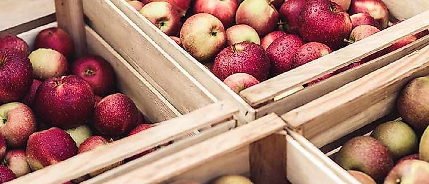 Äpfel In Kisten