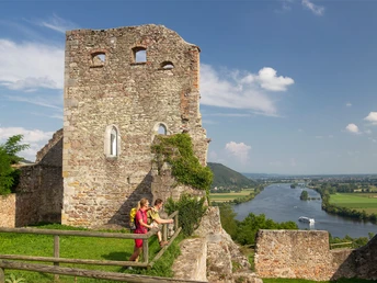 Blick von der Burgruine Donaustauf