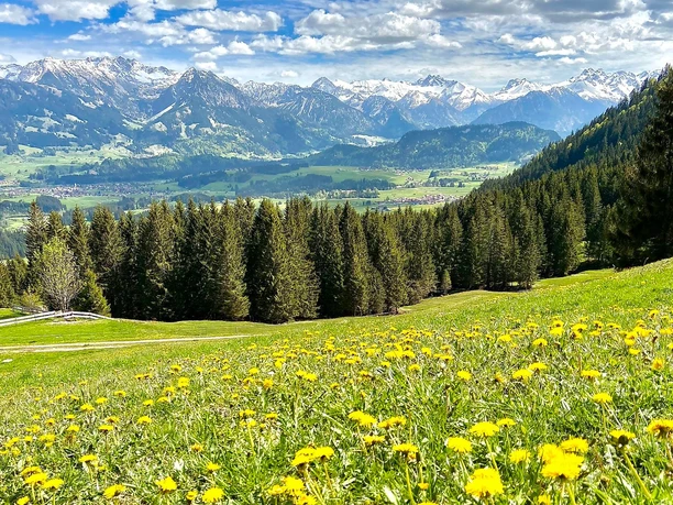 Blick auf Illertal und Allgäuer Hauptkamm