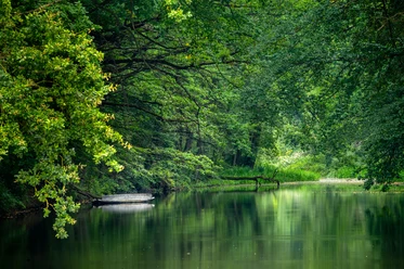 Karlsgraben (wie am Amazonas)