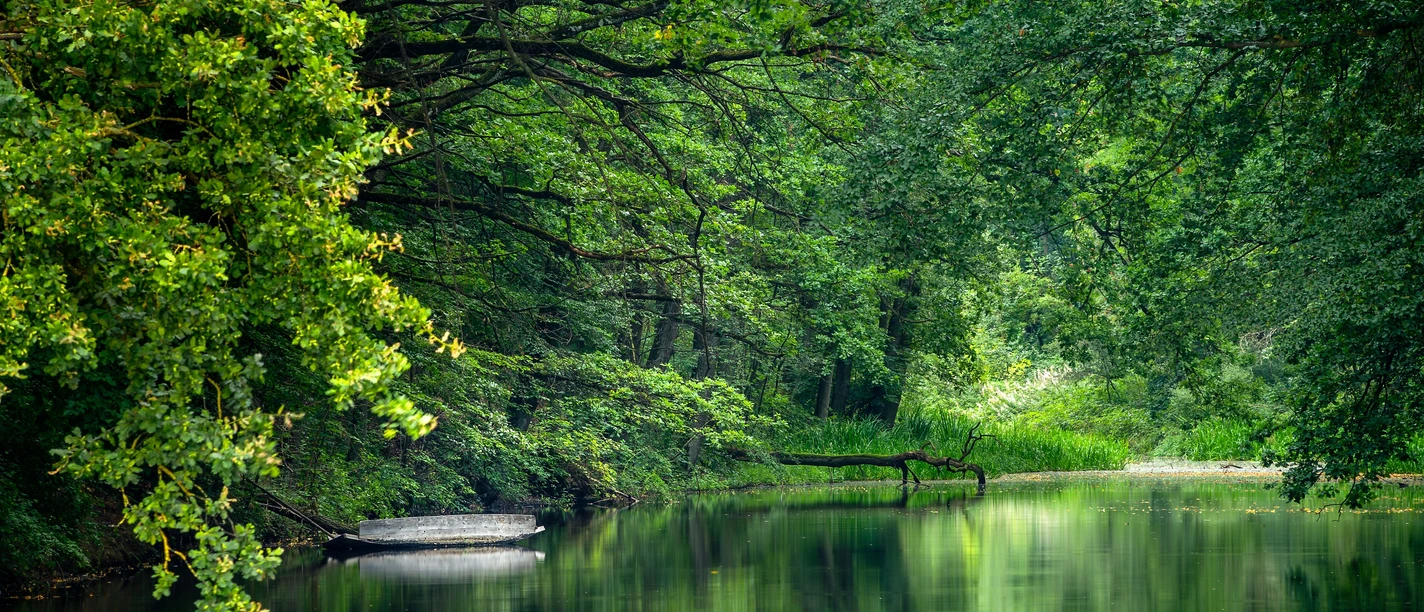 Karlsgraben (wie am Amazonas)