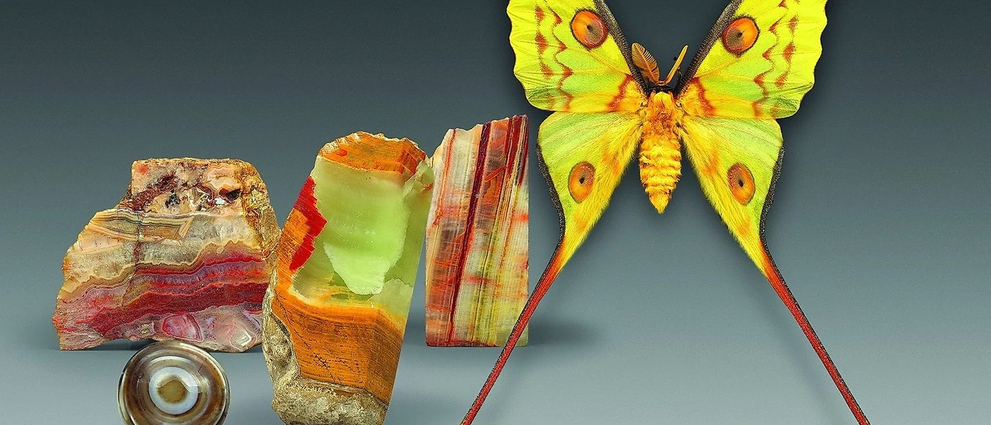 Kristall und Schmetterling