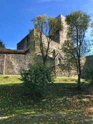 Burgruine Haus Murach