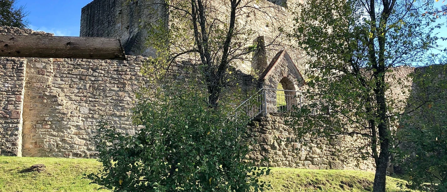 Burgruine Haus Murach