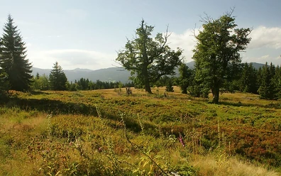 Schachten