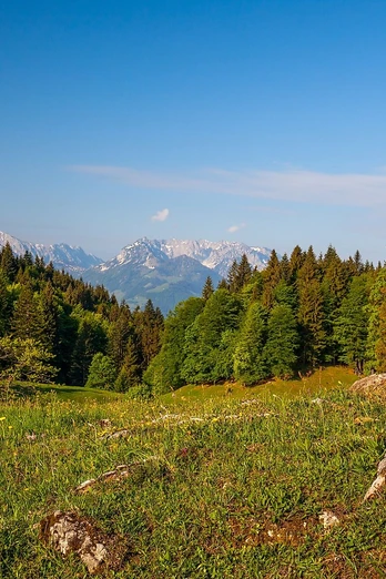 Wetterkreuz Frühling