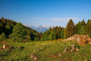 Wetterkreuz Frühling