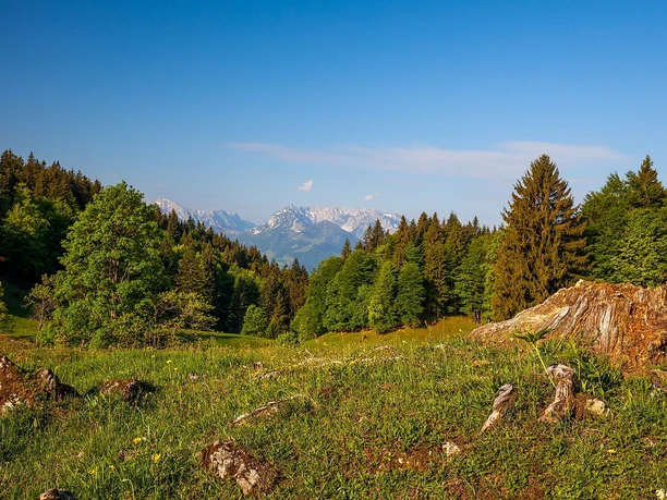 Wetterkreuz Frühling