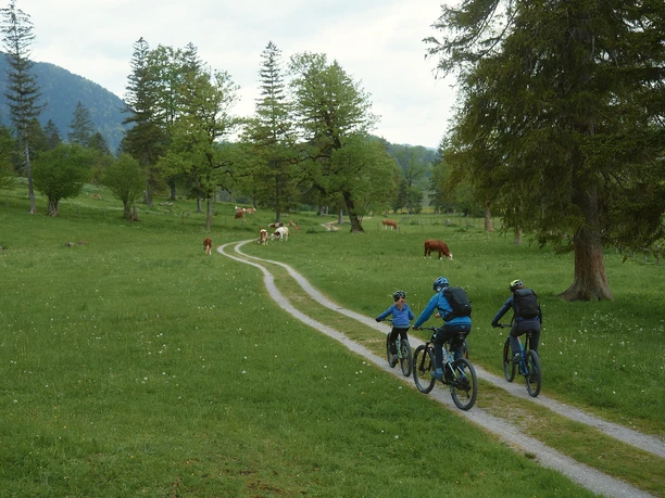 Familie über Wiese