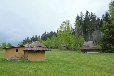 Wildniscamp
