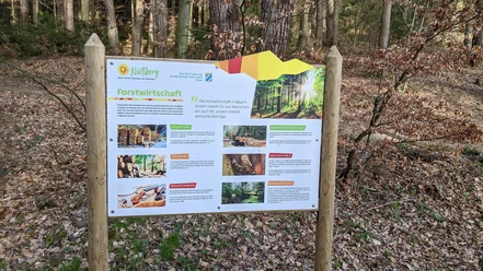 Lehrpfad Nistlberg.jpg