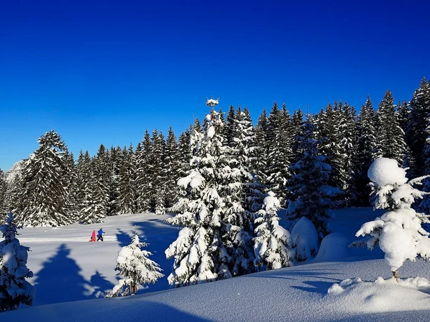 Premium Winterwanderweg Panorama Hemmersuppenalm