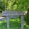 Streifzüge Schallerweiherweg Waldlehrpfad