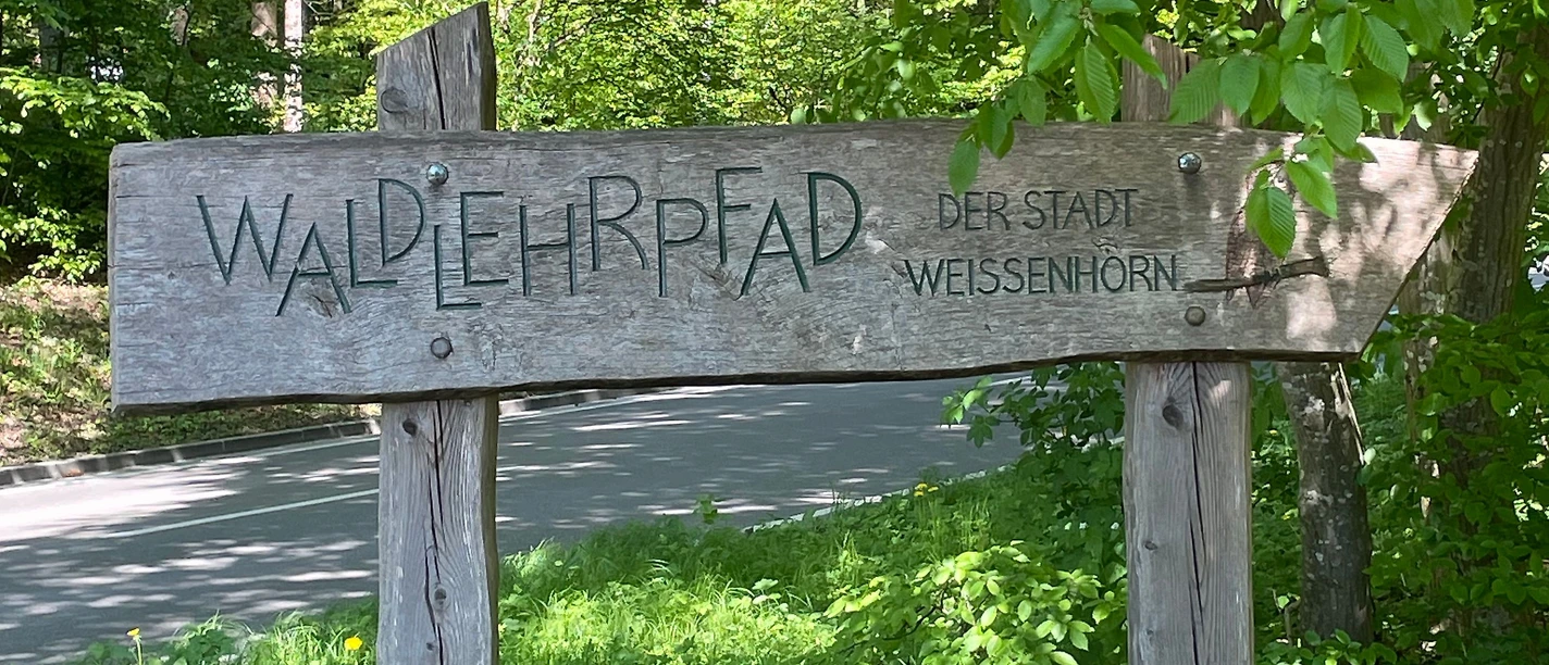 Streifzüge Schallerweiherweg Waldlehrpfad