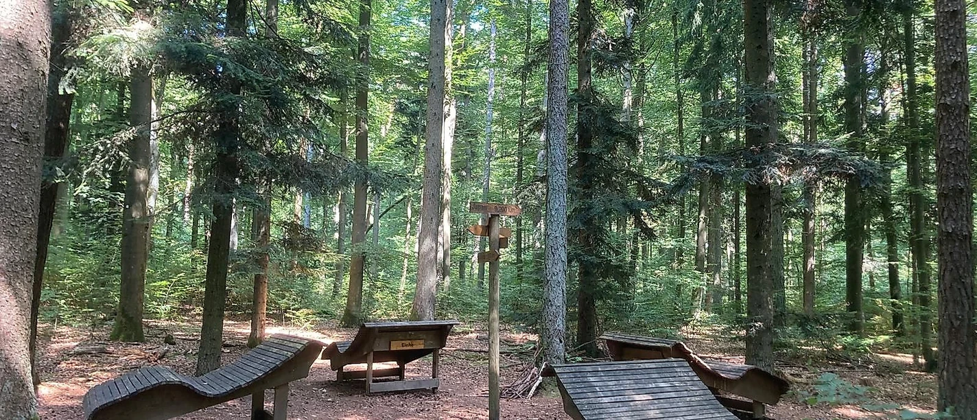Waldbadenstation 1 Andrea_Bonauer.jpg