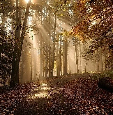 Fischbach über Isarstaudamm (HK21)