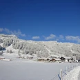 Bolsterlang im Schnee