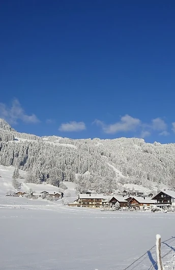 Bolsterlang im Schnee