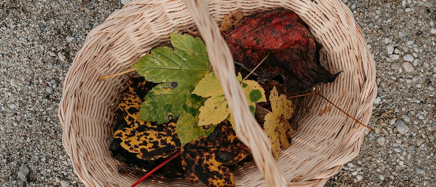 Herbst
