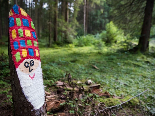 Wichtl im Märchenwald