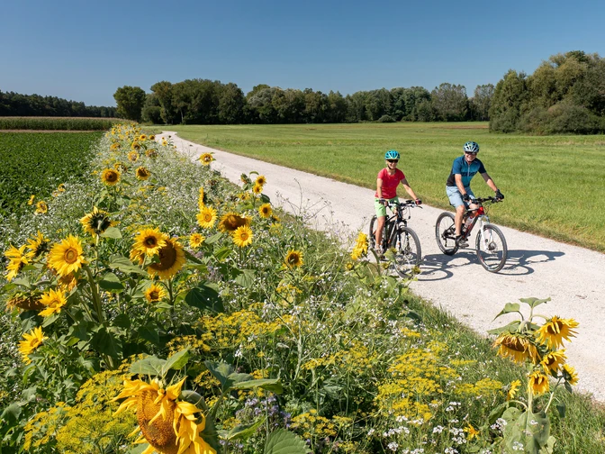 Am Große Laber-Radweg bei Eggmühl
