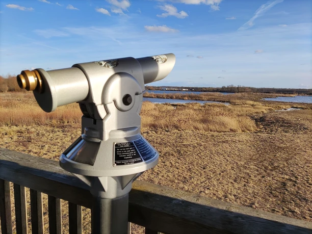 Vogelbeobachtungsturm Mooswaldseen