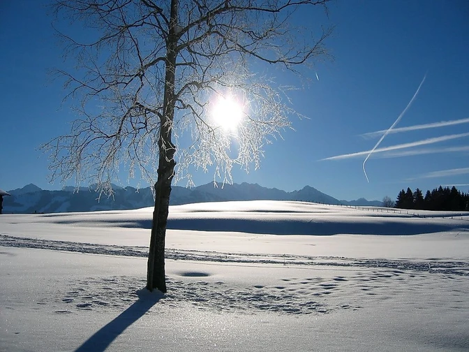 Winterwandern Tiefenberger Moos