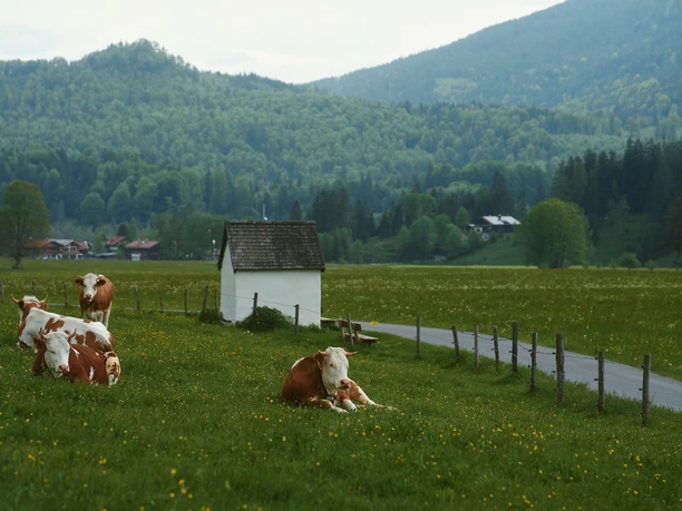Schöne Aussicht