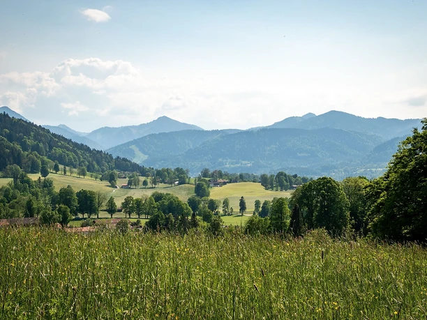 Blick Richtung Niemandsbichl