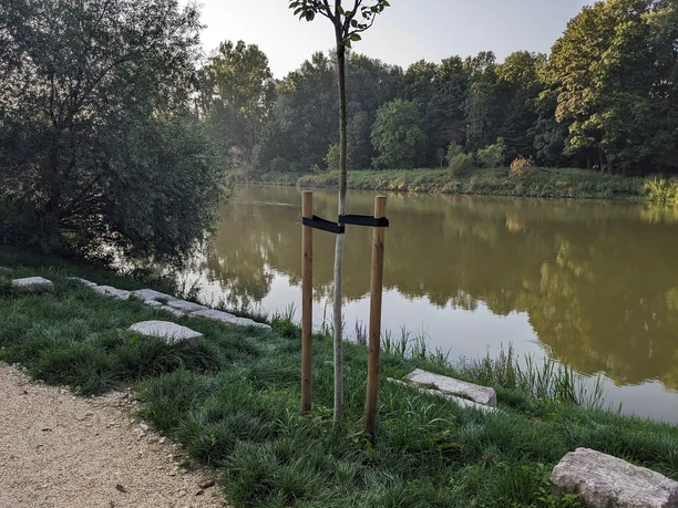 Bootsanlagestelle oberhalb der Donaubrücke (2)